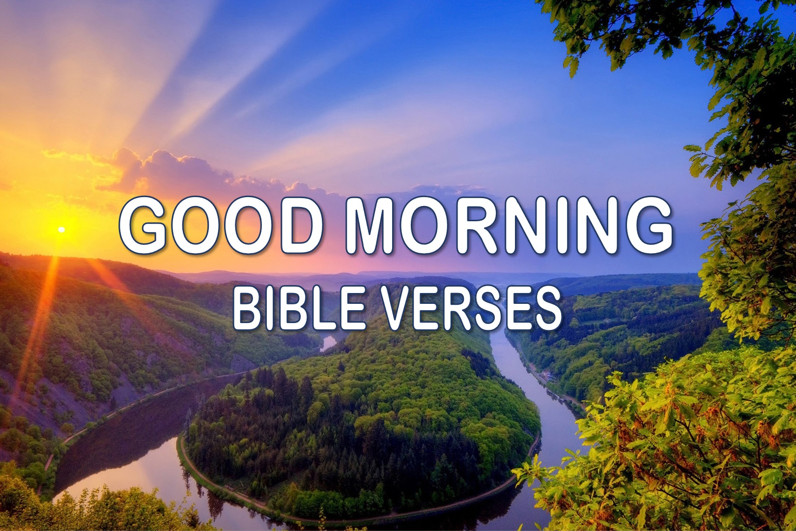 50+ Inspirational Good Morning Bible Verses To Start Your Day