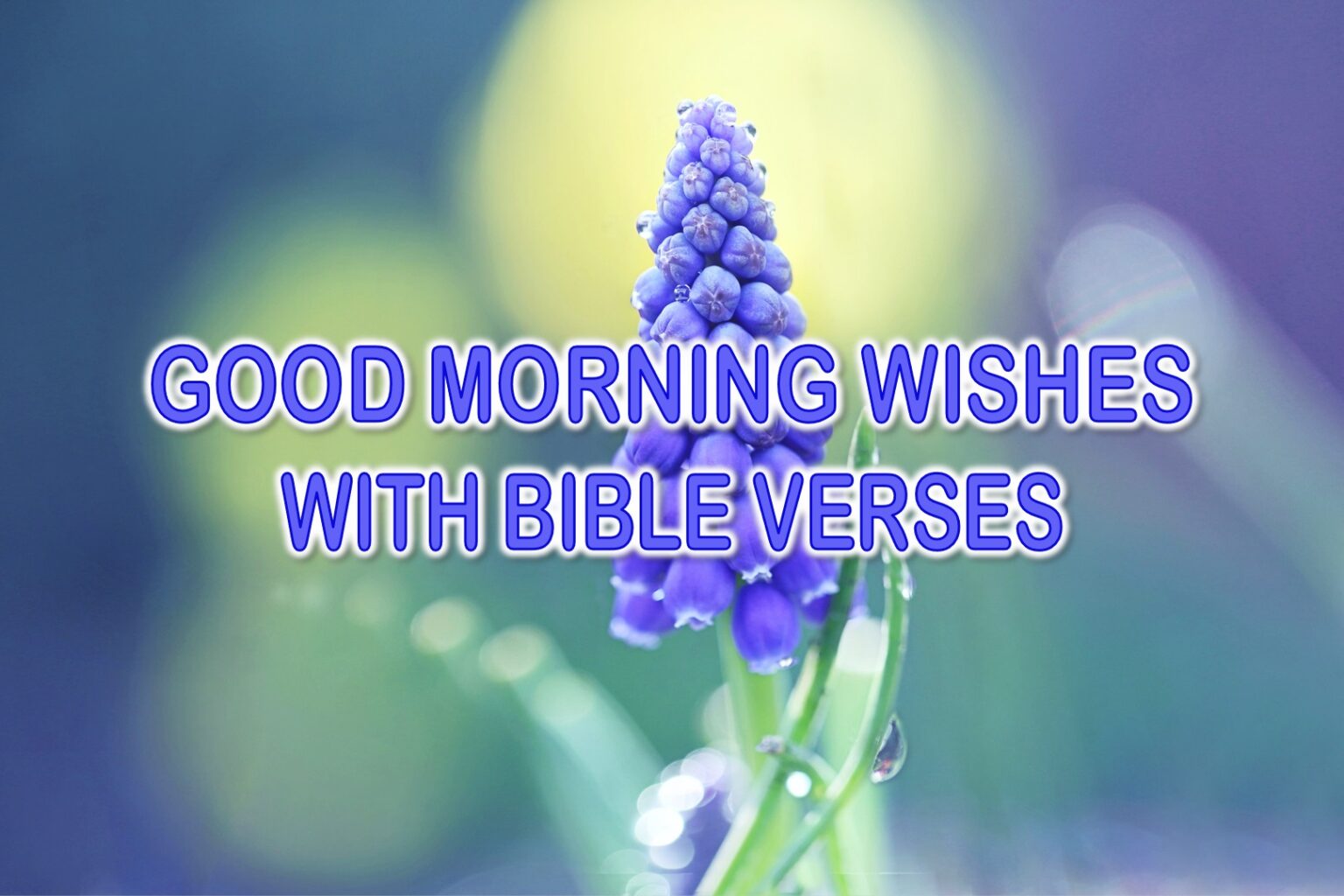 50 Powerful Good Morning Wishes With Bible Verses Superbwishes 7898