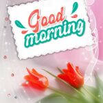 Good morning images. Superbwishes.com