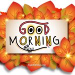 Beautiful good morning pictures. Superbwishes.com