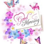 Good morning butterfly pictures. Superbwishes.com