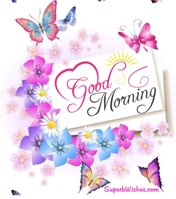 Good morning butterfly pictures. Superbwishes.com