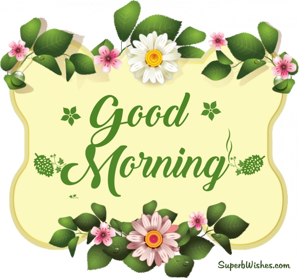 Cute good morning images. Superbwishes.com