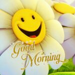 Special good morning images. Superbwishes.com