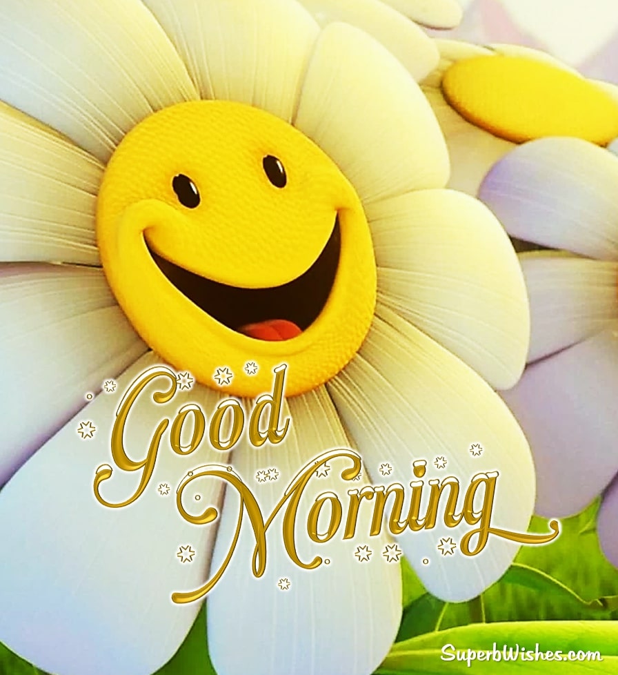 Special good morning images. Superbwishes.com