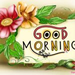 Lovely good morning picture. Superbwishes.com