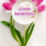 Good morning pics. Superbwishes.com