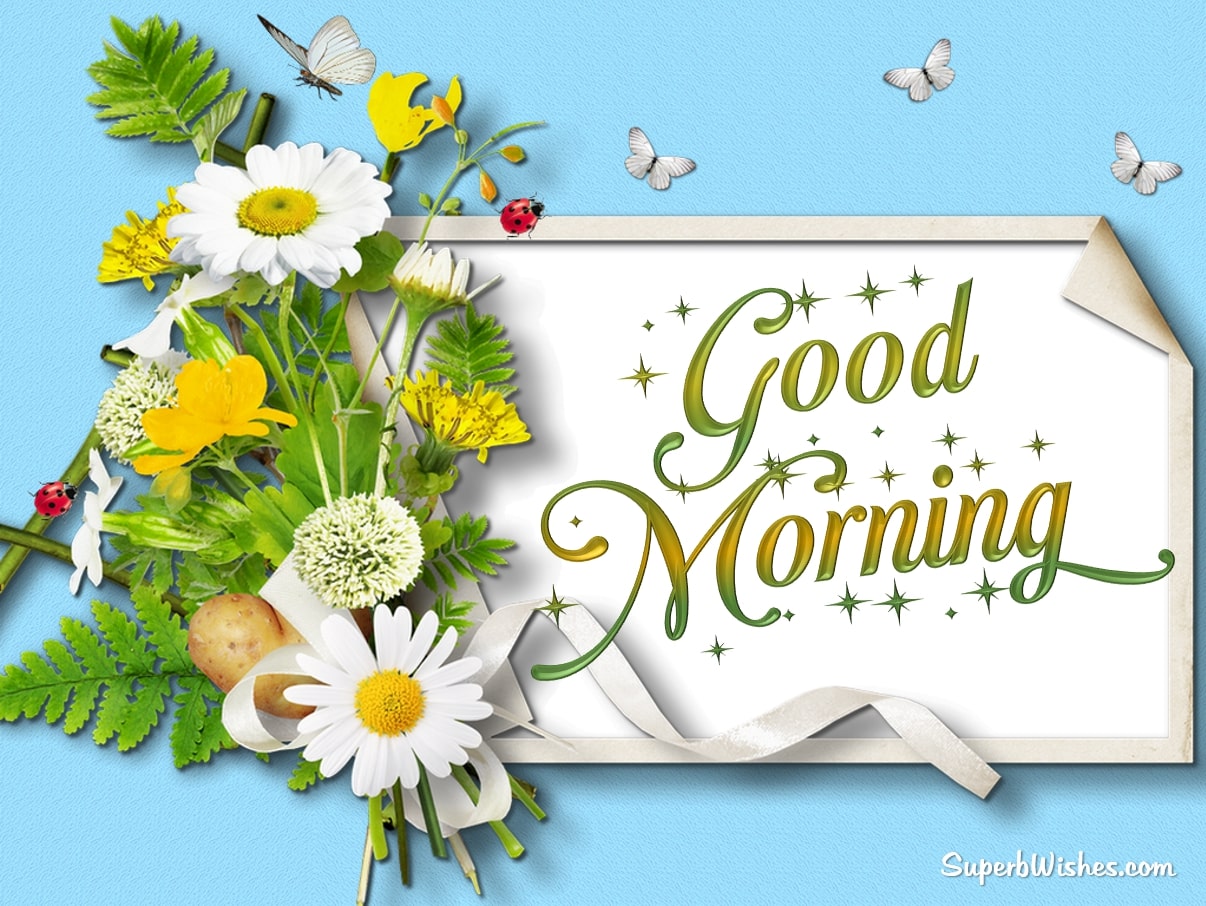 Cute good morning images. Superbwishes.com