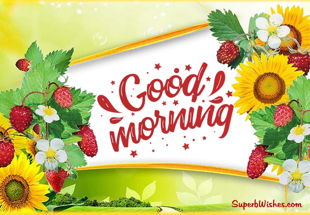 Good morning images with flowers. Superbwishes.com