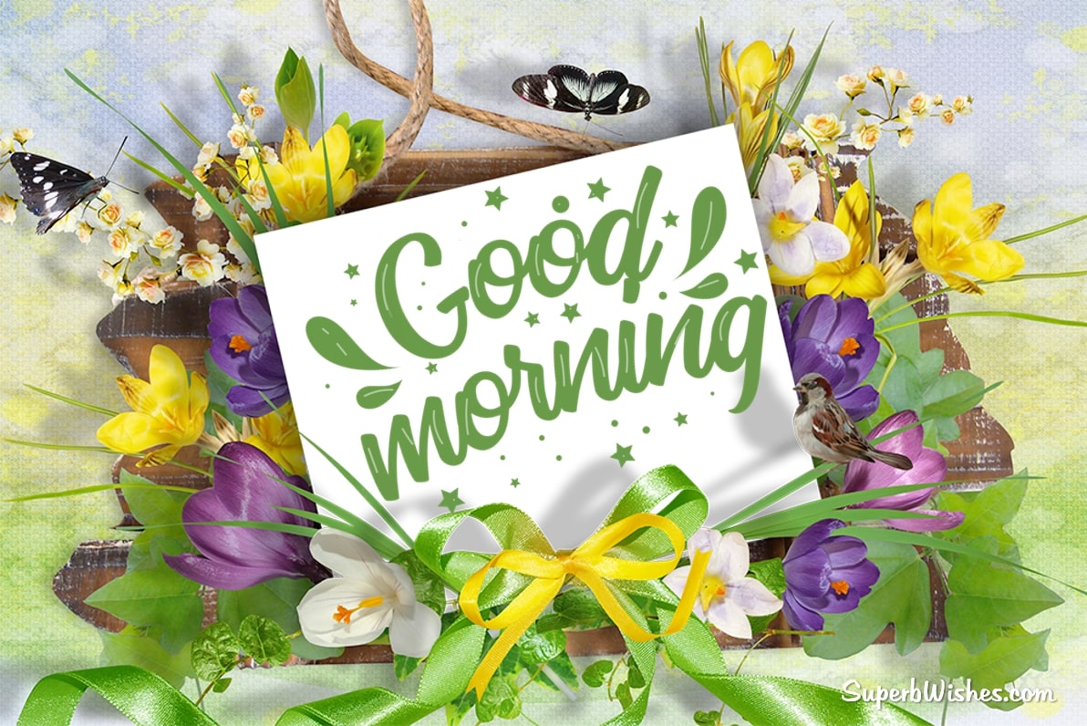 Good morning images with flowers. Superbwishes.com