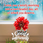 Special good morning wishes for friends GIF. Superbwishes.com