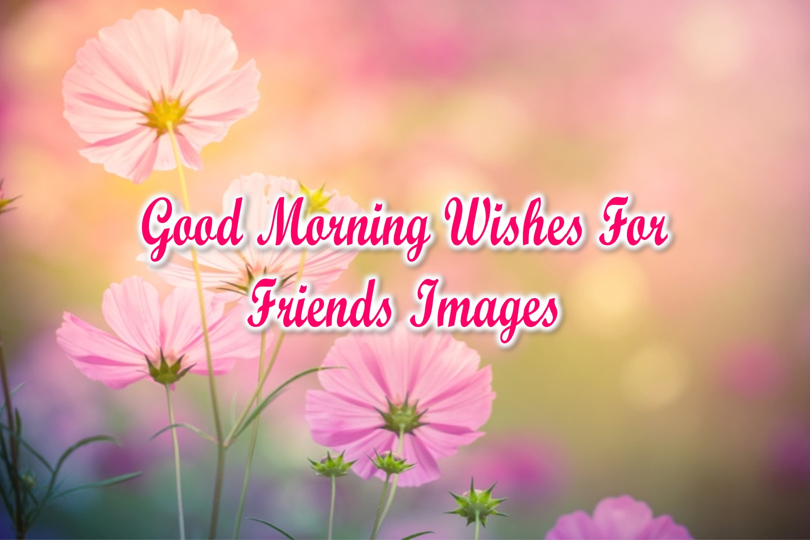 Beautiful Good Morning Wishes For Friends Images | SuperbWishes