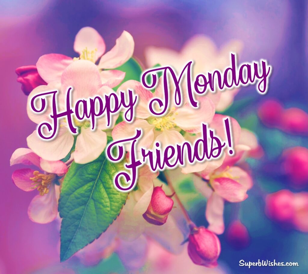 Happy Monday Friends With Beautiful Flowers Image | SuperbWishes.com