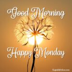 Good Morning Happy Monday. Superbwishes.com