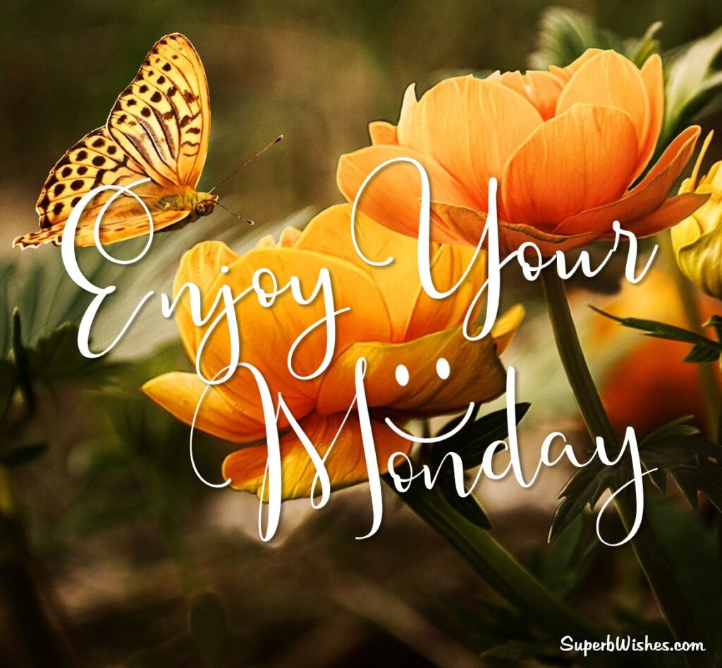 Happy Monday Images | SuperbWishes