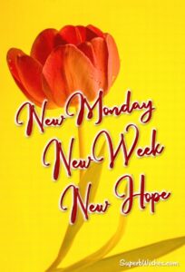 Happy Monday flowers images. Superbwishes.com