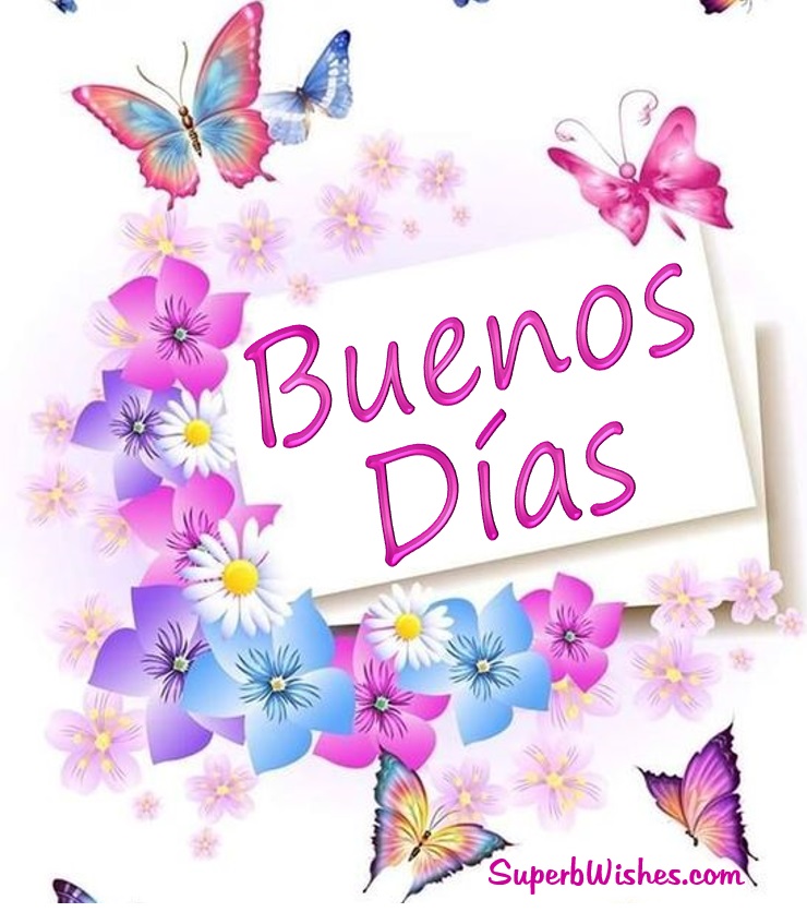 Imagen de Buenos Días con Hermosas Mariposas | SuperbWishes