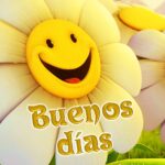 Buenos días imágenes con flores. Superbwishes.com