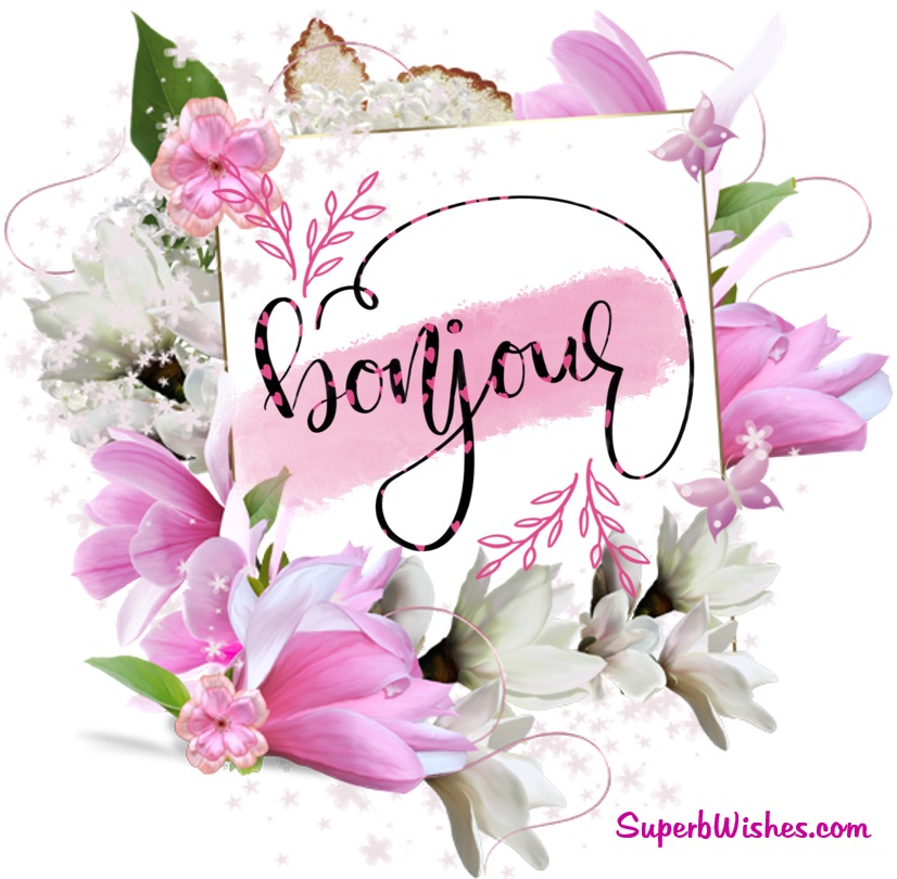 Images bonjour avec des fleurs. Superbwishes.com
