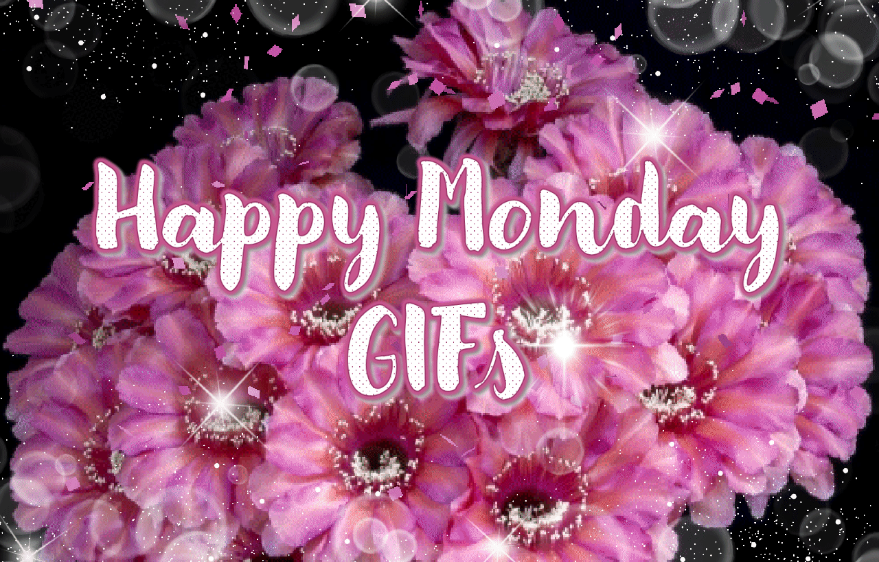 Happy Monday GIFs | Beautiful Monday GIFs | SuperbWishes