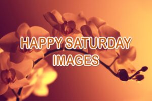 Happy Saturday Images