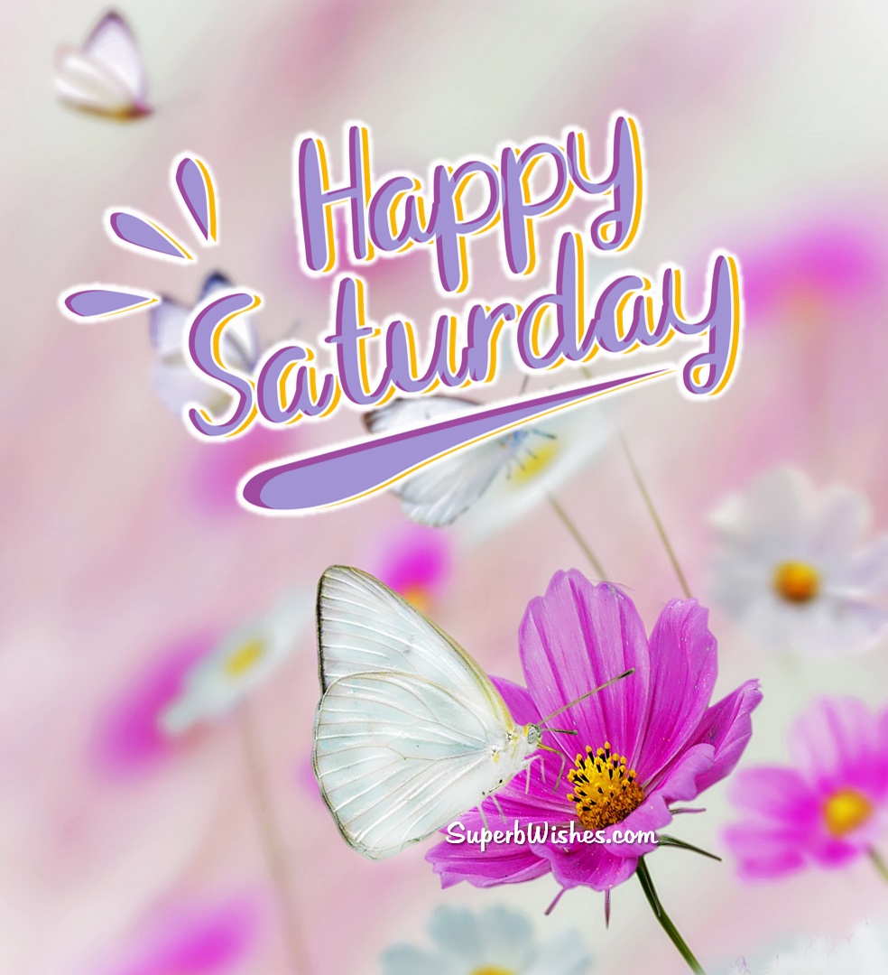 Happy Saturday With Beautiful Pink Flower Image | SuperbWishes.com