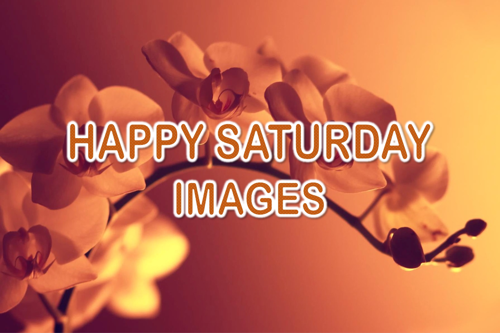 Happy Saturday Images | Beautiful Saturday Pictures | SuperbWishes