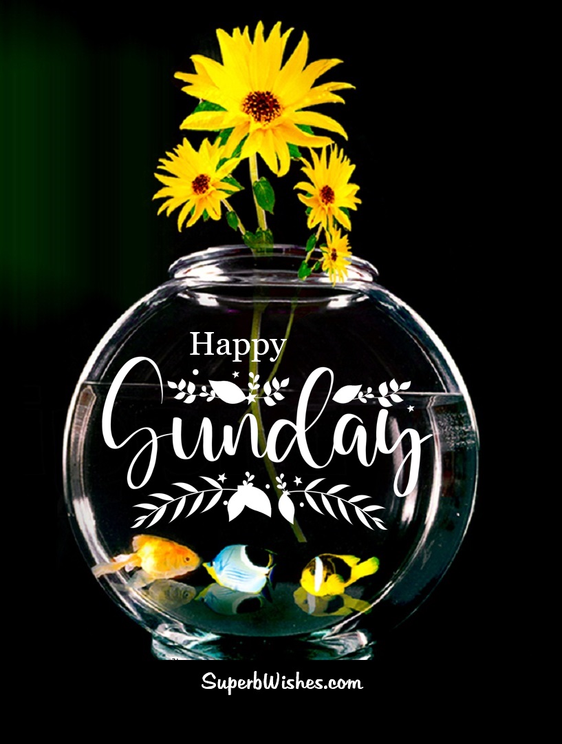 Happy Sunday With Beautiful Yellow Flowers Image | SuperbWishes.com