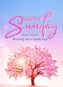 Positive Happy Sunday quotes. Superbwishes.com