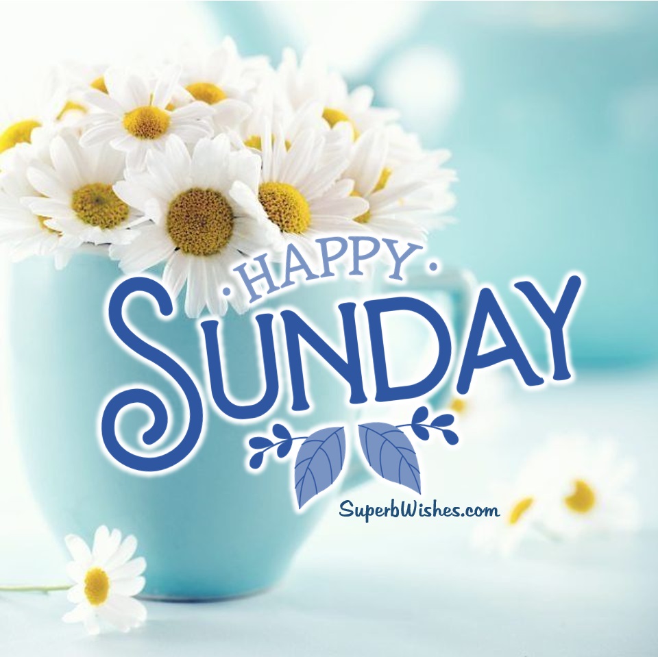 Happy Sunday With Beautiful Flowers Image | SuperbWishes.com