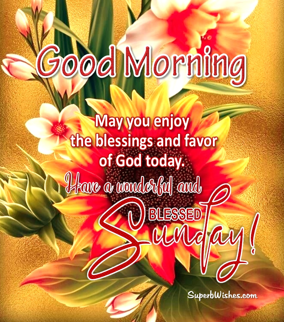 Happy Sunday 2023 Images - Have A Blessed Sunday! | SuperbWishes