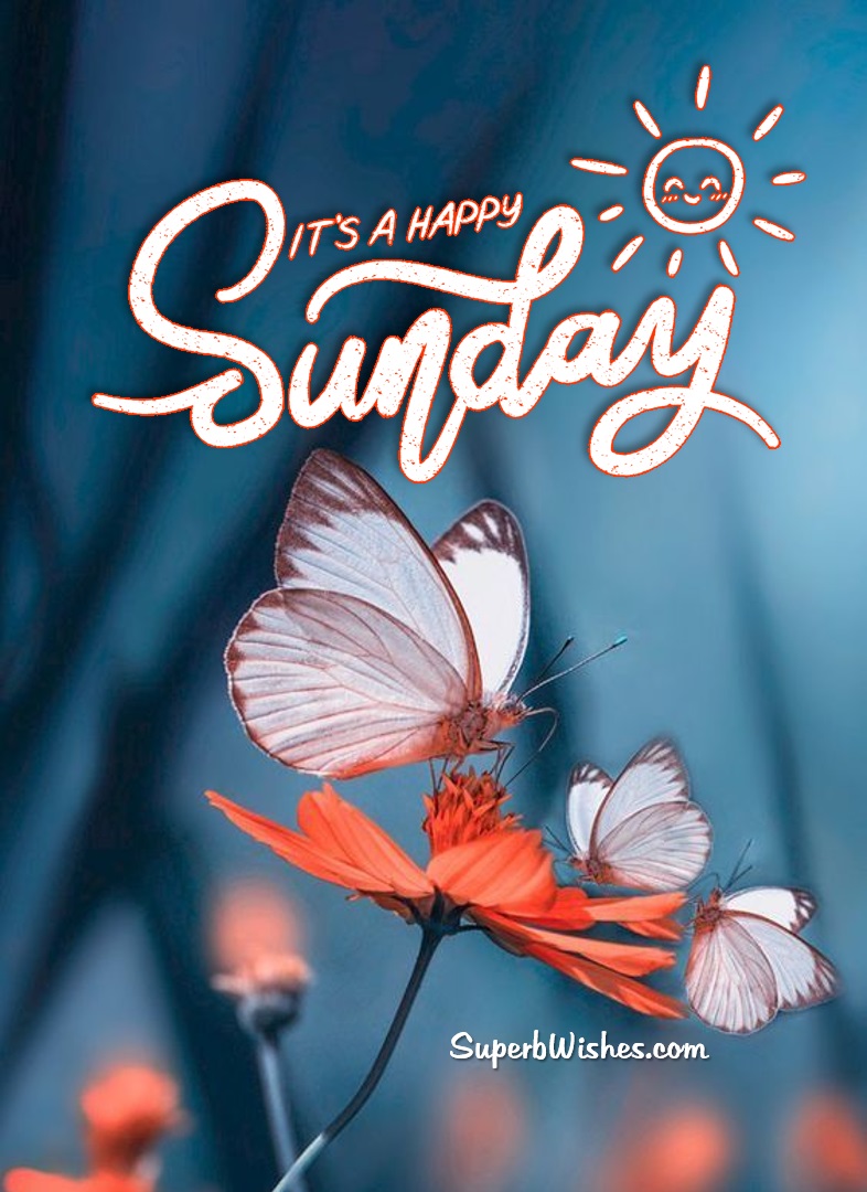 Happy Sunday 2023 Images - It's A Happy Sunday | SuperbWishes.com