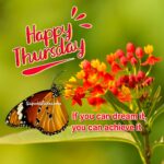 Happy Thursday flowers images. Superbwishes.com