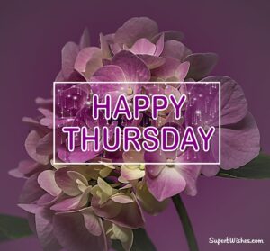 Happy Thursday images. Superbwishes.com