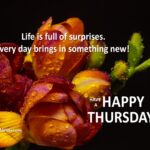 Positive Happy Thursday quotes. Superbwishes.com