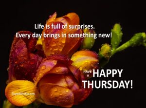 Positive Happy Thursday quotes. Superbwishes.com