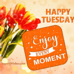 Enjoy every moment. Happy Tuesday day GIFs. Superbwishes.com