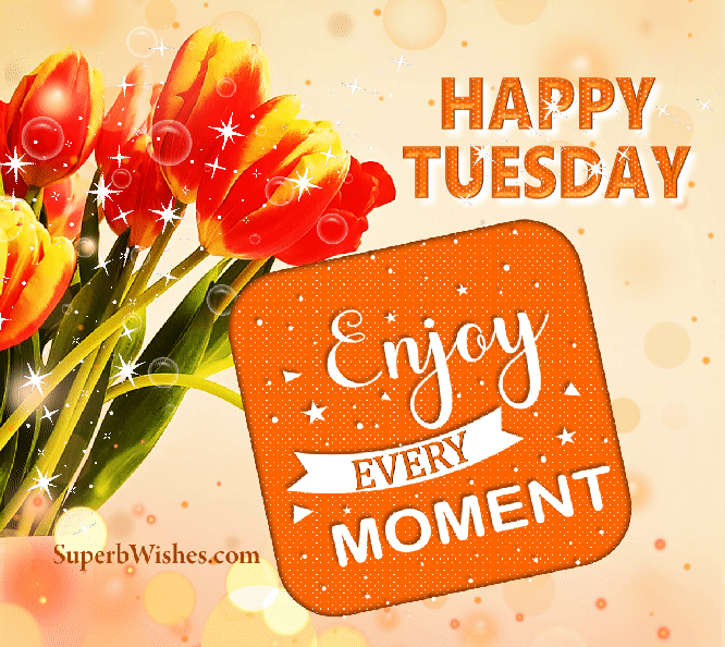 Enjoy every moment. Happy Tuesday day GIFs. Superbwishes.com