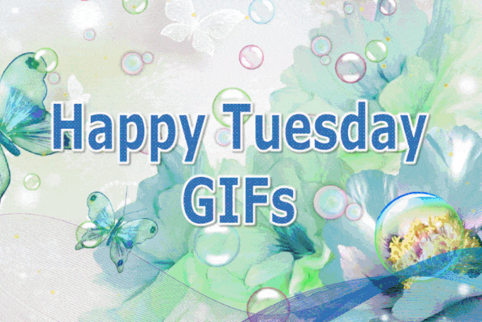 Happy Tuesday GIFs