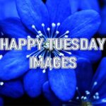 Happy Tuesday Images