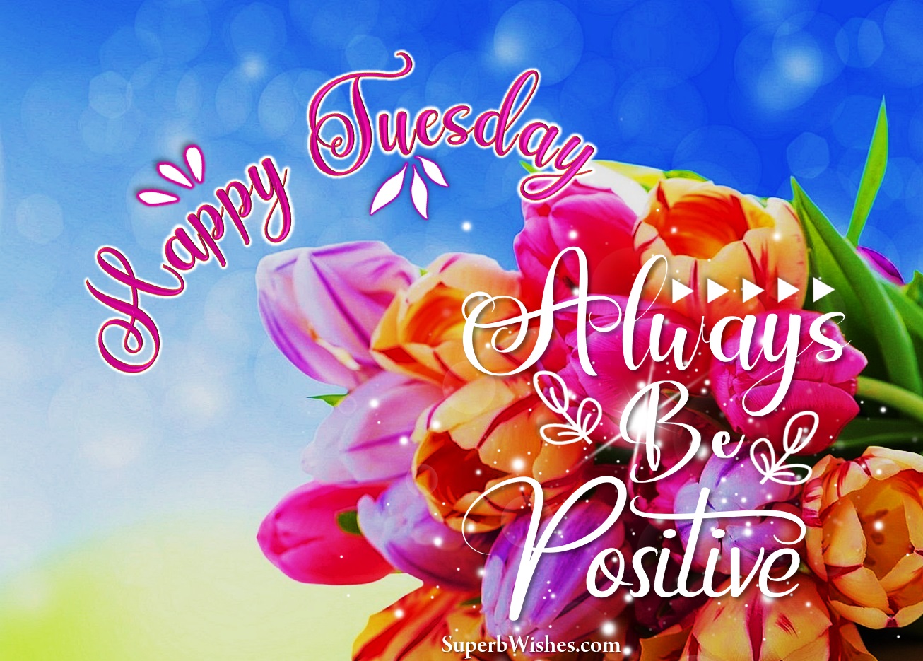 Positive Happy Tuesday quotes. Superbwishes.com
