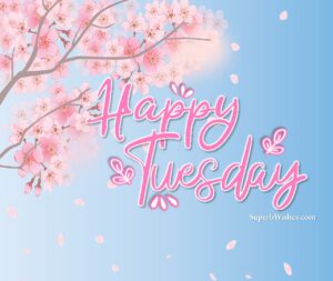 Beautiful Happy Tuesday images. Superbwishes.com