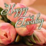 Happy Tuesday flowers images. Superbwishes.com