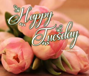 Happy Tuesday flowers images. Superbwishes.com