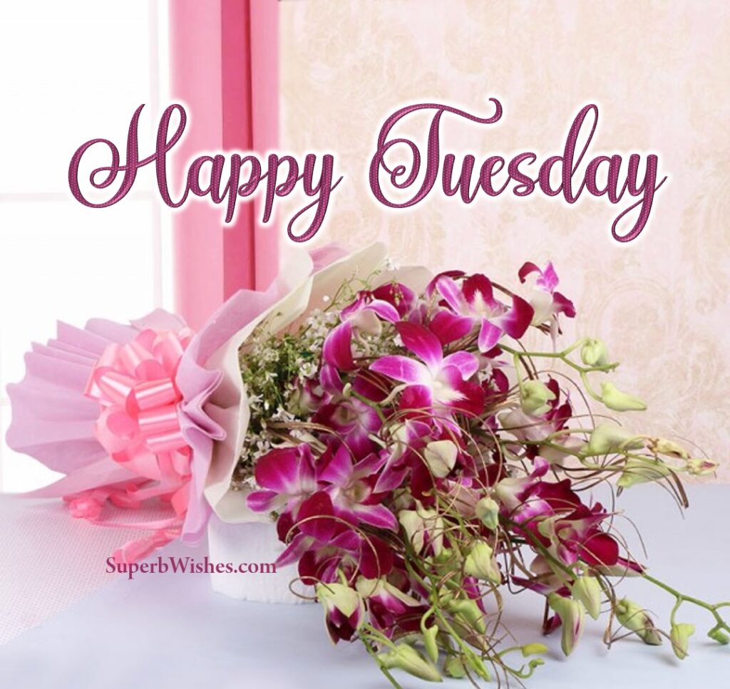 Happy Tuesday With A Purple Flower Bunch Image | SuperbWishes.com