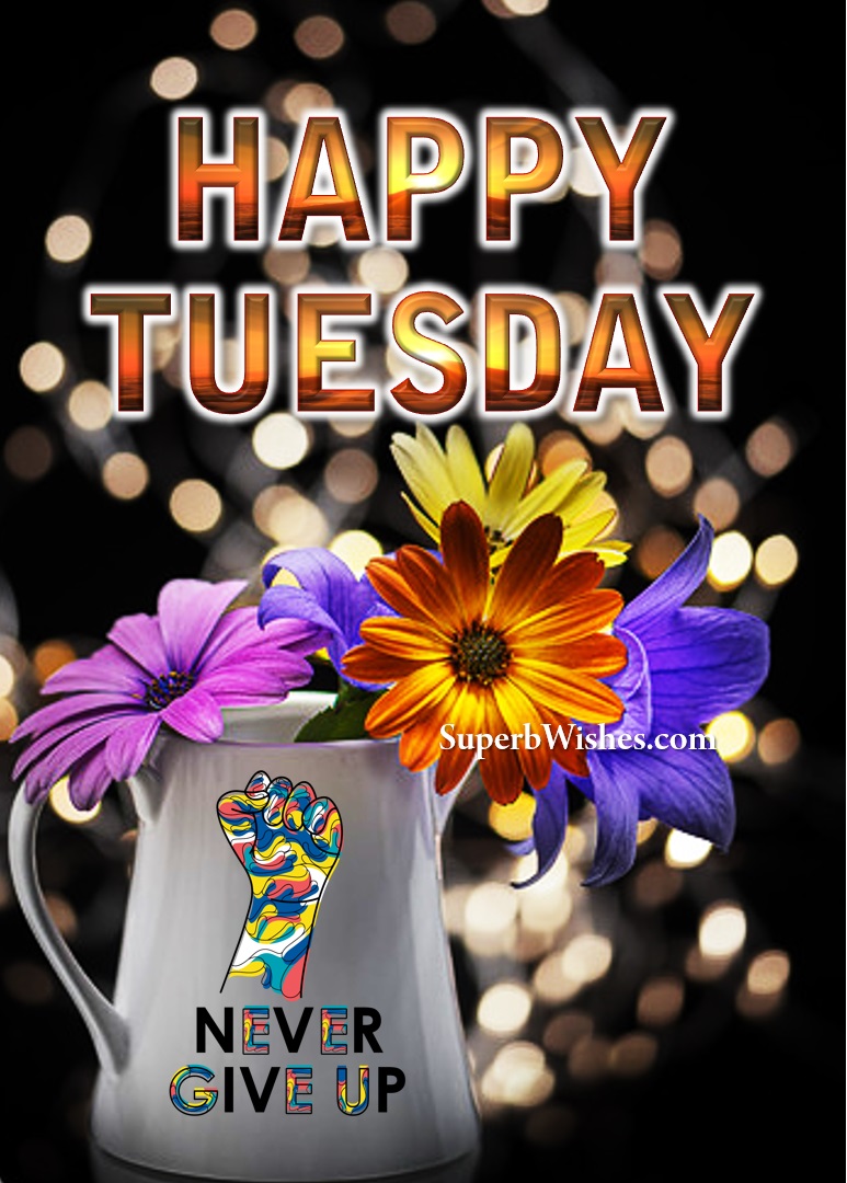Happy Tuesday flowers images. Superbwishes.com