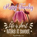 Life is short. Make it sweet. Happy Tuesday images. Superbwishes.com