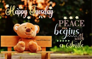 Peace begins with a smile. Happy Tuesday. Superbwishes.com