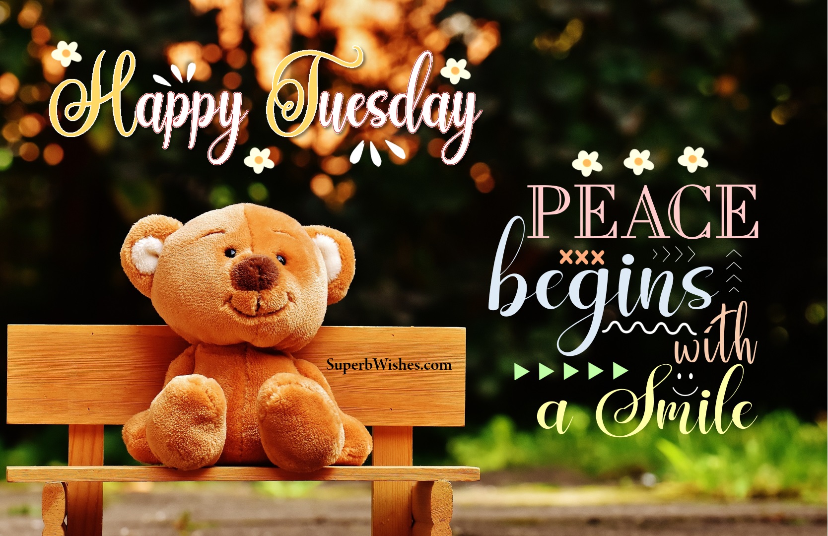 Peace begins with a smile. Happy Tuesday. Superbwishes.com