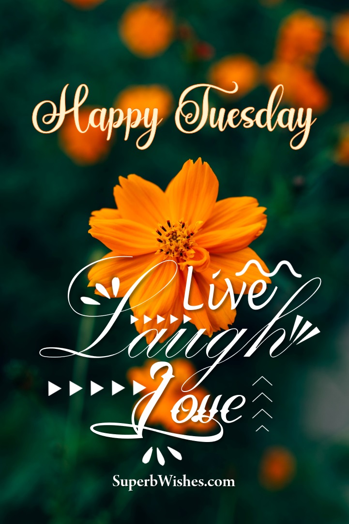 Happy Tuesday 2024 Images Live, Laugh & Love